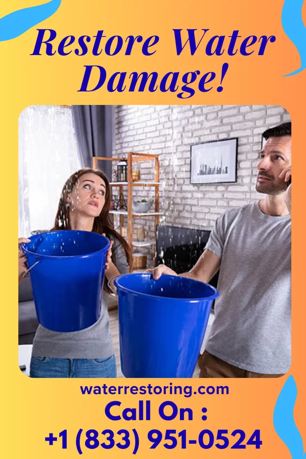 water restoration Diamond Damage Recovery Team Stacey Street